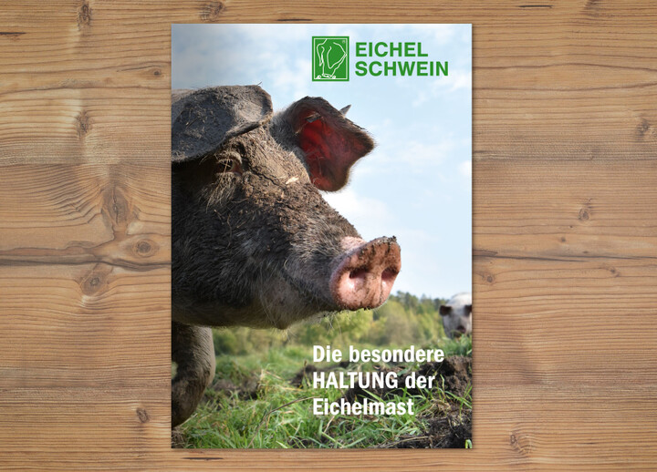 Flyer für Eichelschwein